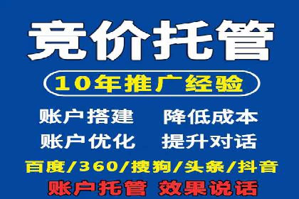 SEM托管成功案例：揭秘高效广告投放策略